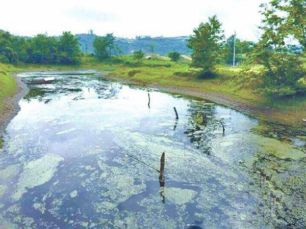 养猪场污水处理